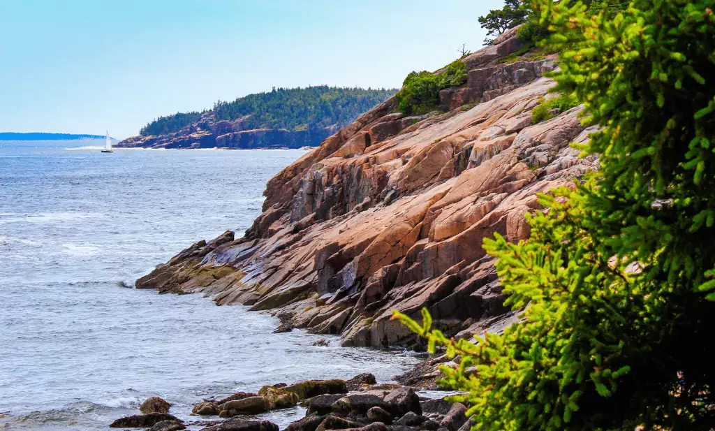 Stone cliffs greenery along the water in acadia national park is a great place to go after you get your medical marijuana card