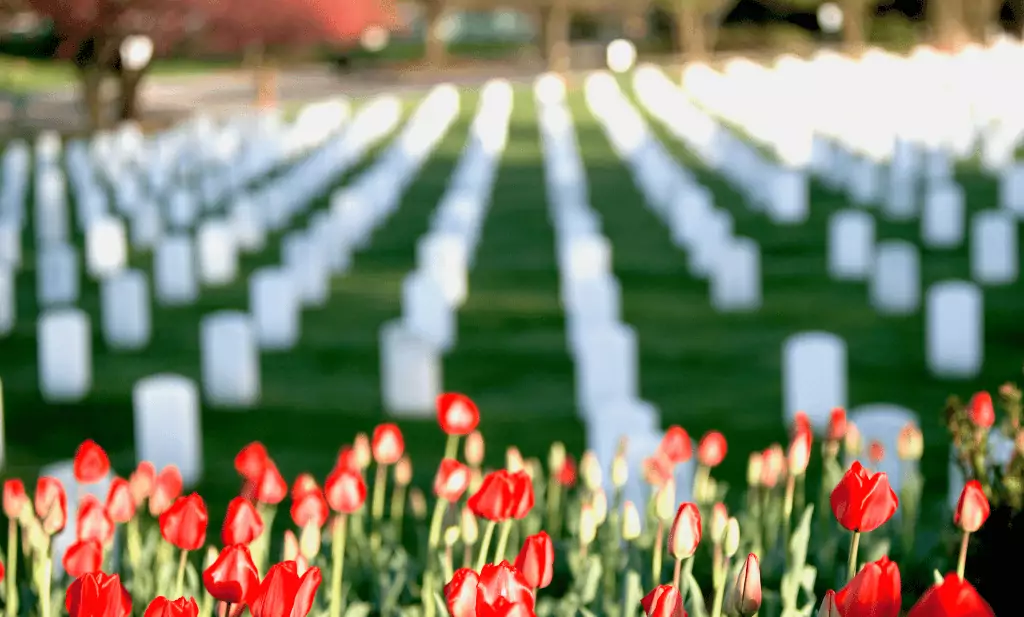 red tulips in front of the arlington cemetery is a great place to go after you get your medical marijuana card