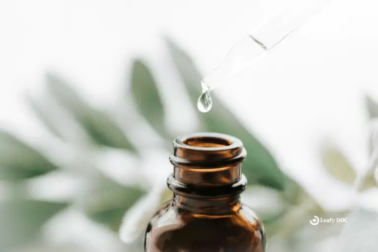 9 Benefits Of RSO Oil For Medical Cannabis Patients