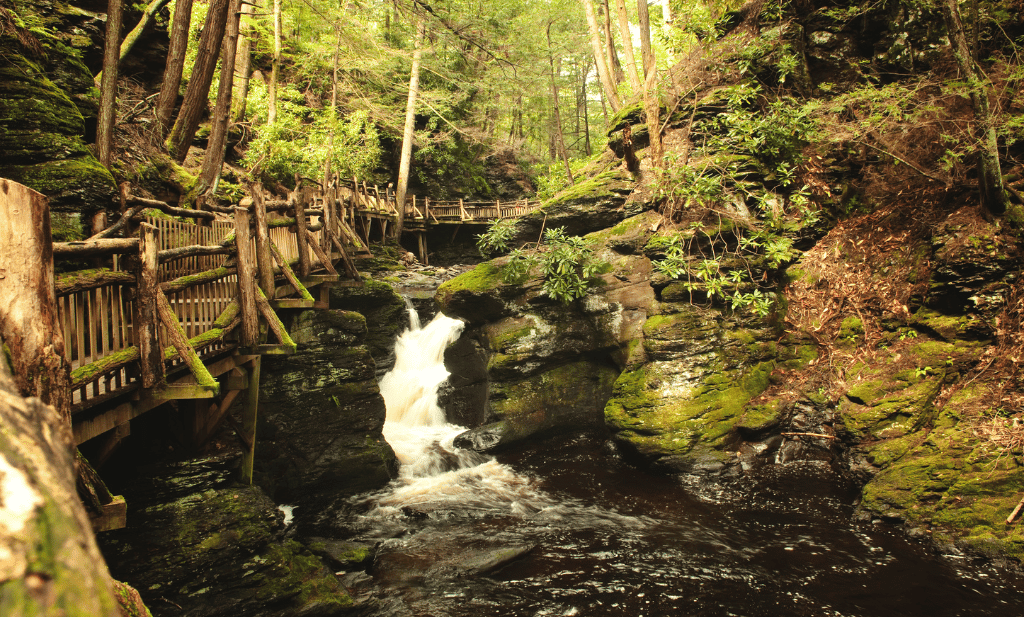 bushkill falls waterfall with wooden railing path in park is a great place to visit after getting your medical card