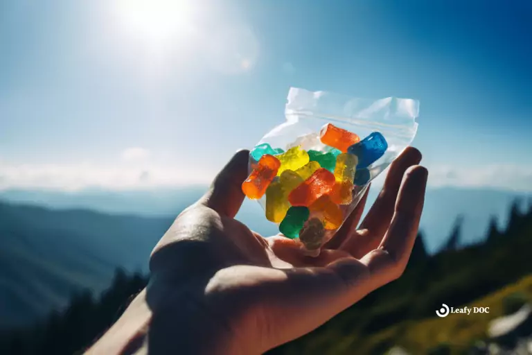 Can You Bring THC Gummies On An Airplane?