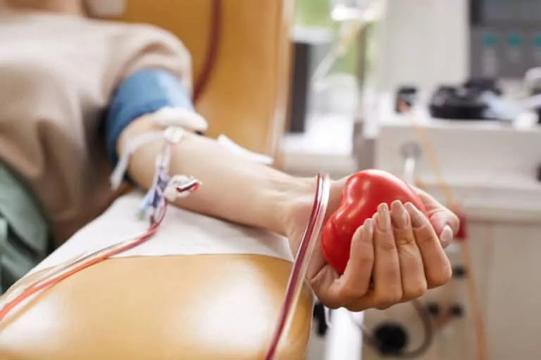 Are Cannabis Users Allowed to Donate Blood?