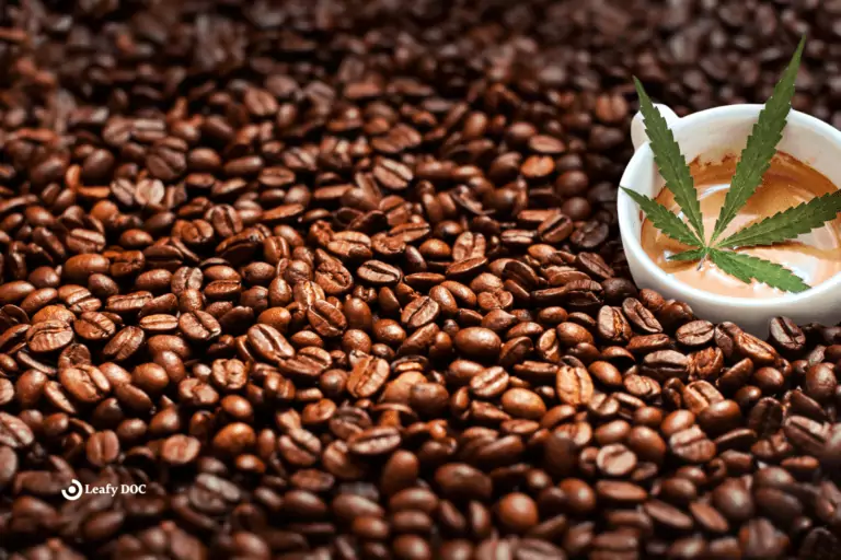 Will Cannabis Coffee Give Me Energy?