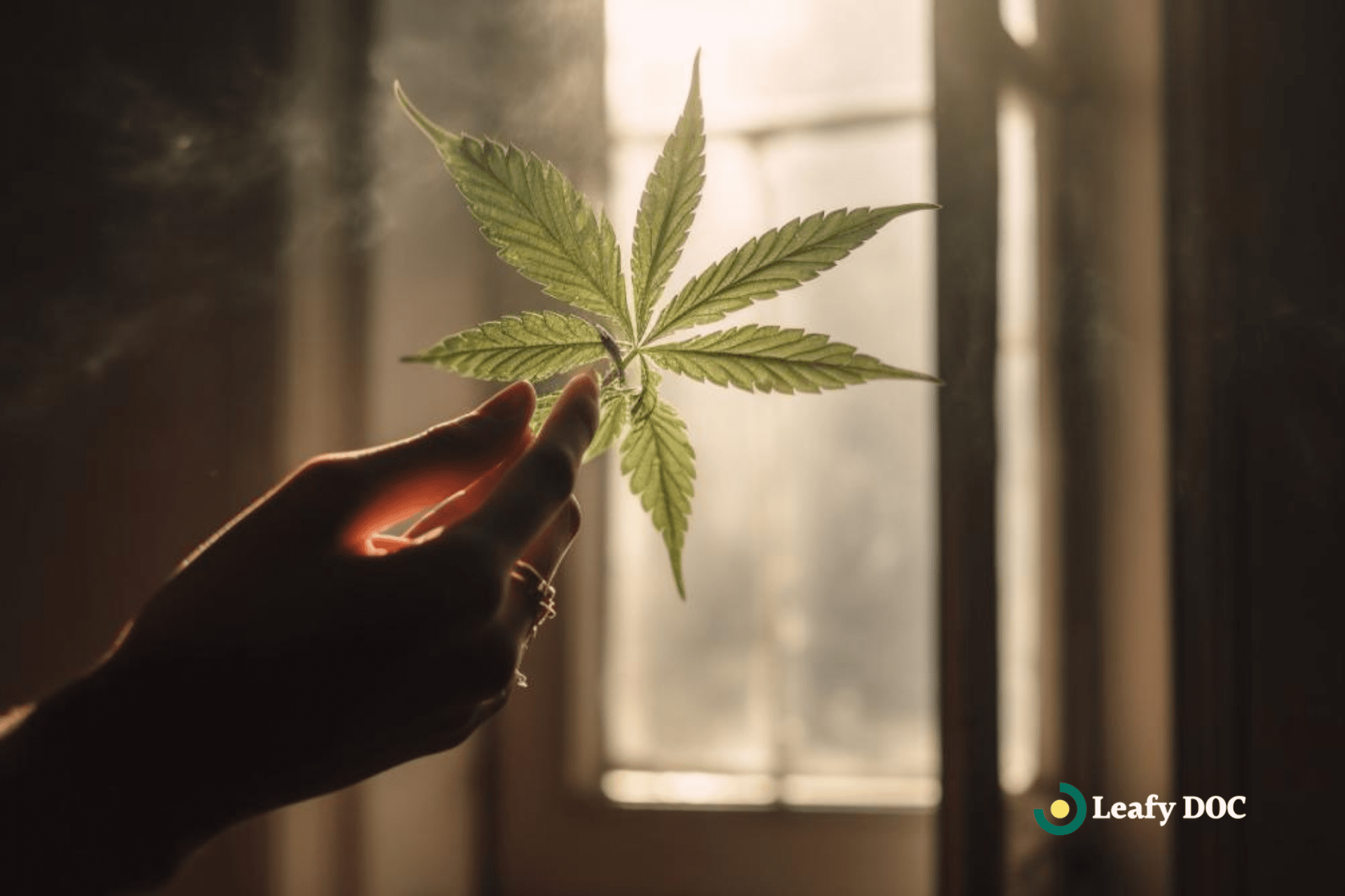 cannabis for pain relief