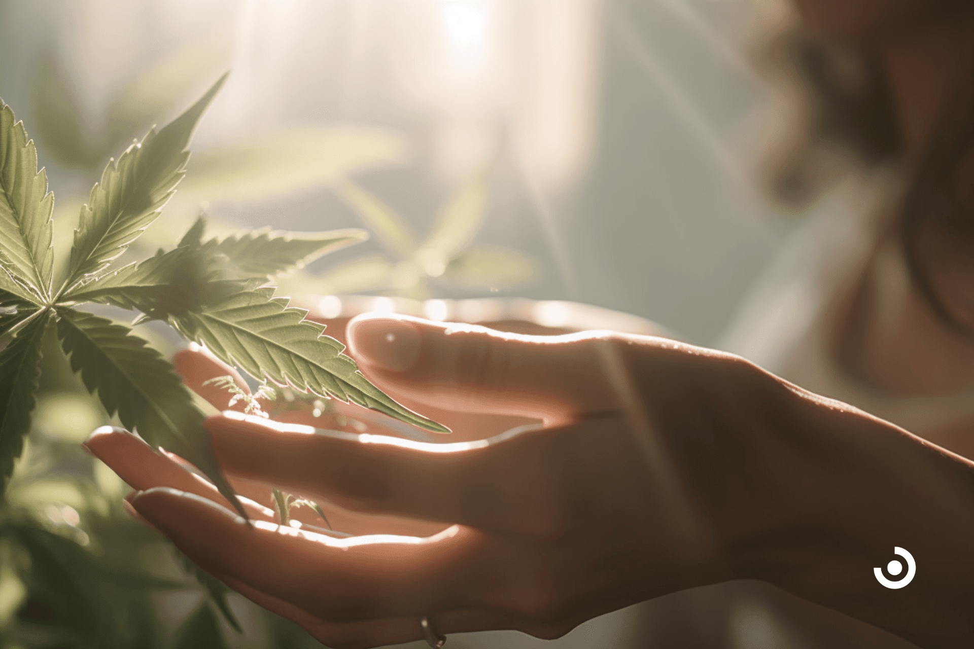 cannabis topicals health benefits