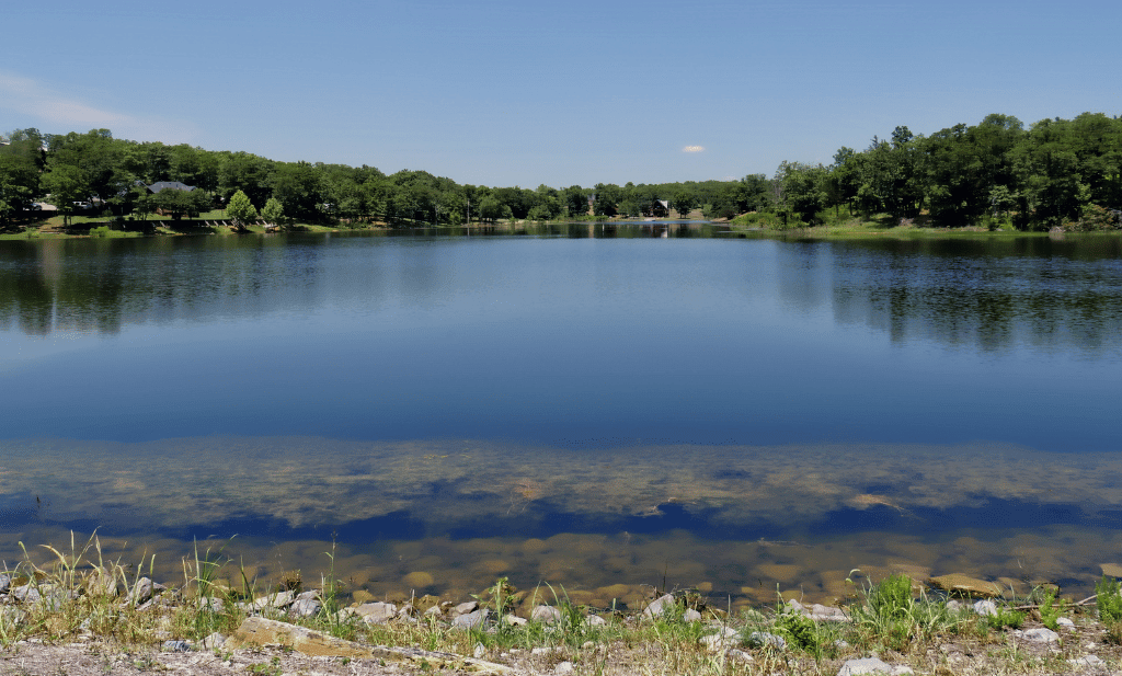 lakes surrounded by trees in the background is a great place to go after you get your medical marijuana card