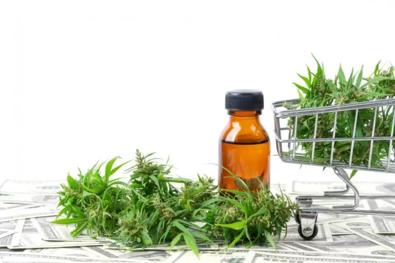 dispensary growth on the ballot in 3 states