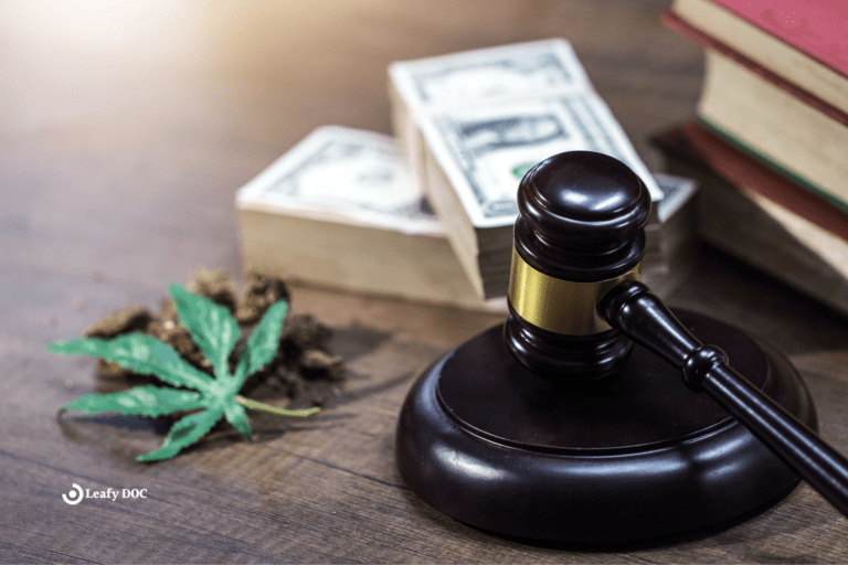 The Economic Impact of Marijuana Legalization