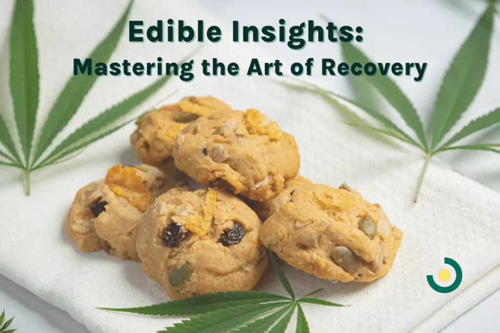 edible insights mastering the art of recovery