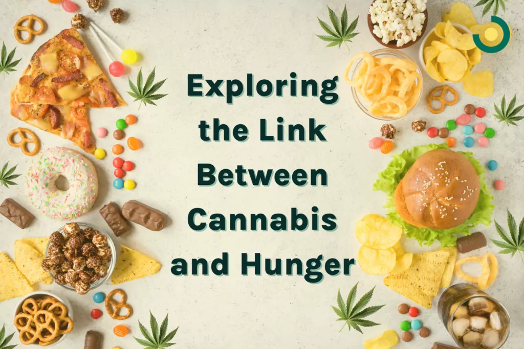 exploring the link between cannabis and hunger 1