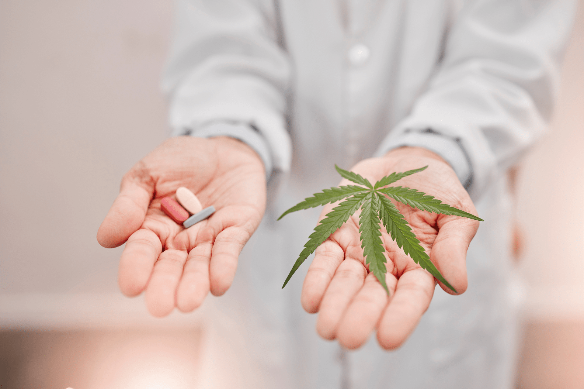 has medical marijuana impacted the opioid epidemic