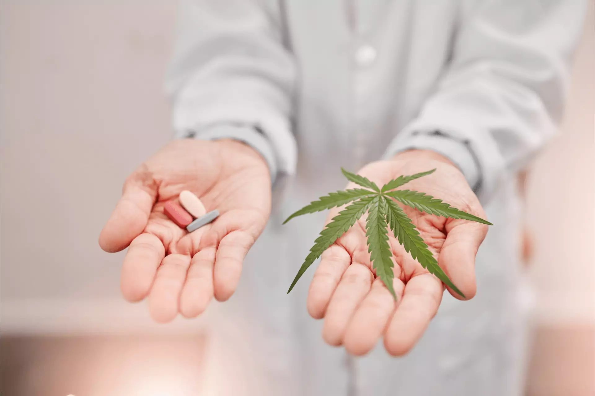 has medical marijuana impacted the opioid epidemic