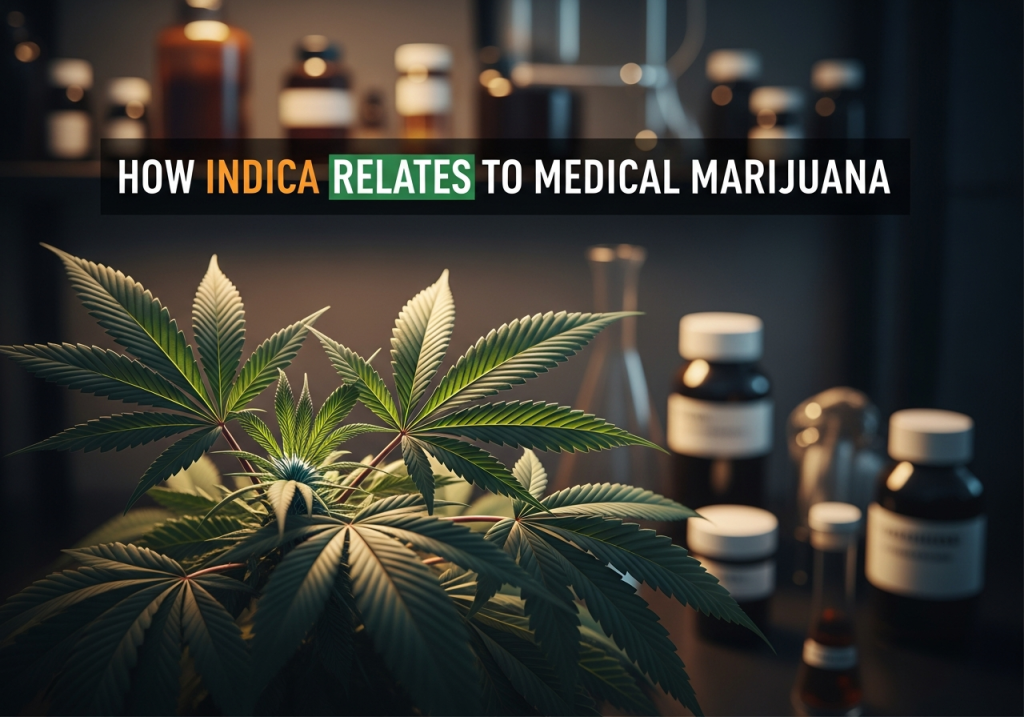 how indica relates to medical marijuana