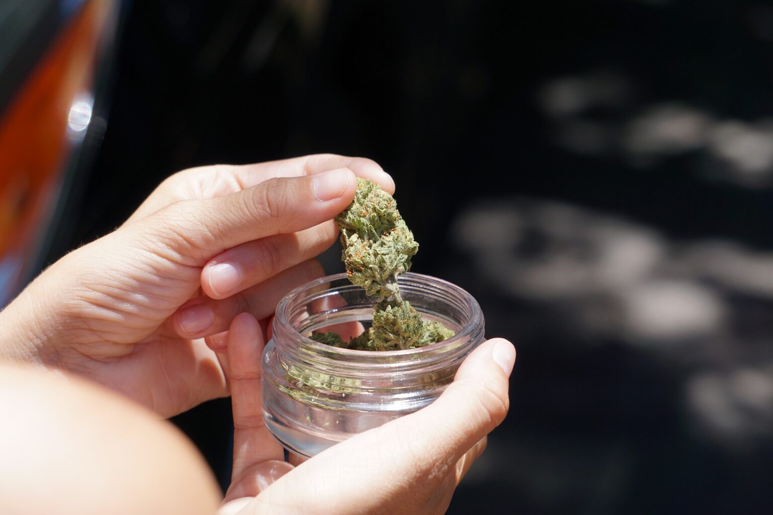 Unveiling the Truth: THC Detection in Hair Follicles | Leafy DOC