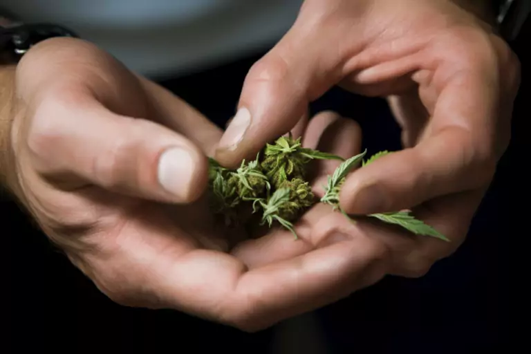 marijuana possession pennsylvania leafy doc