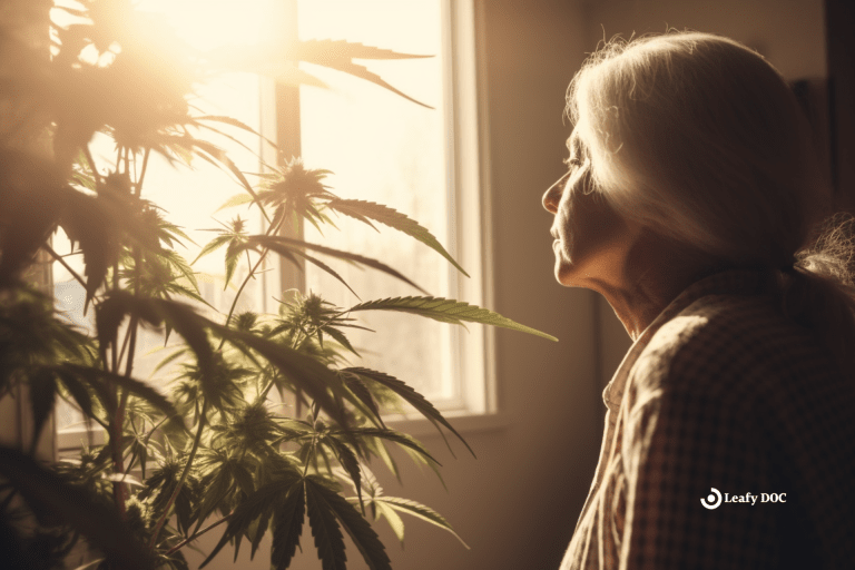 How To Use Medical Marijuana For Lupus