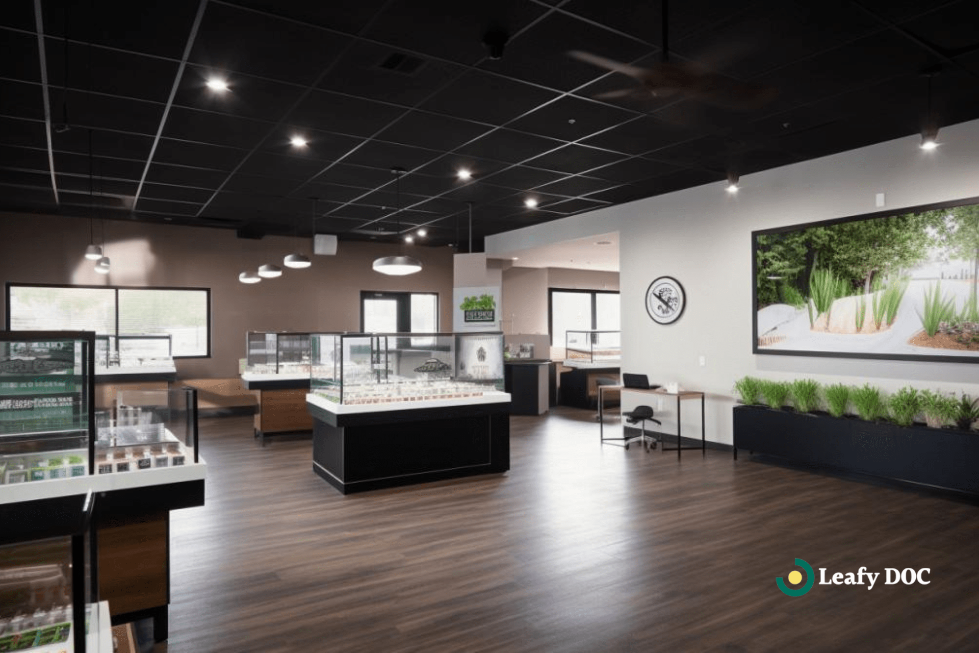 Ohio Cannabis Dispensary Laws: Navigating The Budding Industry | Leafy DOC