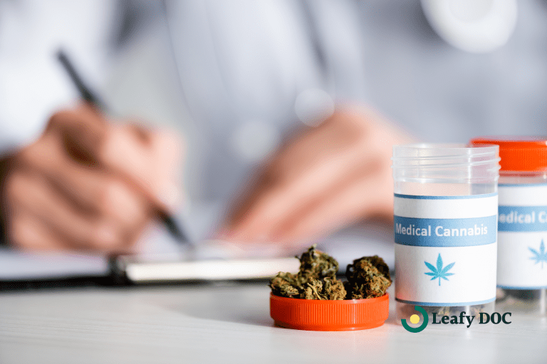 renew your medical cannabis card