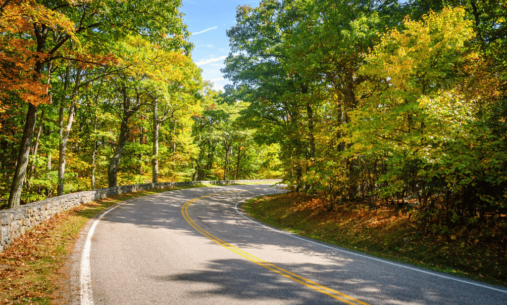 Shenandoah national park winding road in the fall is a great place to go after you get your medical marijuana card