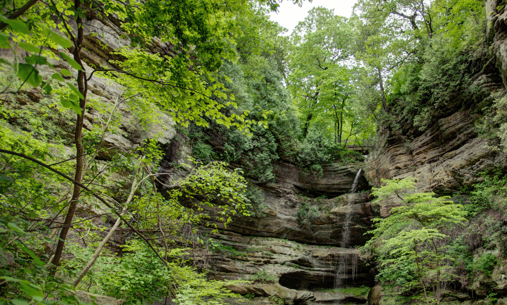 waterfall surrounded greenery is a great place to visit after getting your medical card