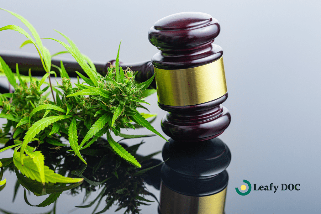 the future of medicinal use insights into 2025 cannabis policy reform legislation