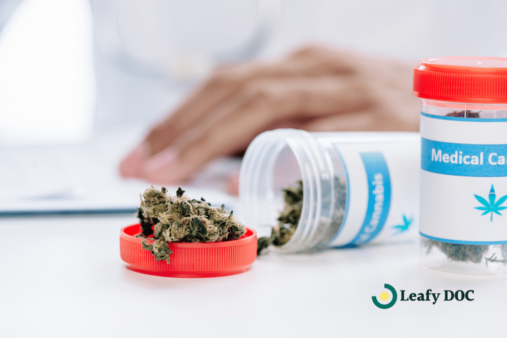 top medical cannabis providers how to choose your perfect match