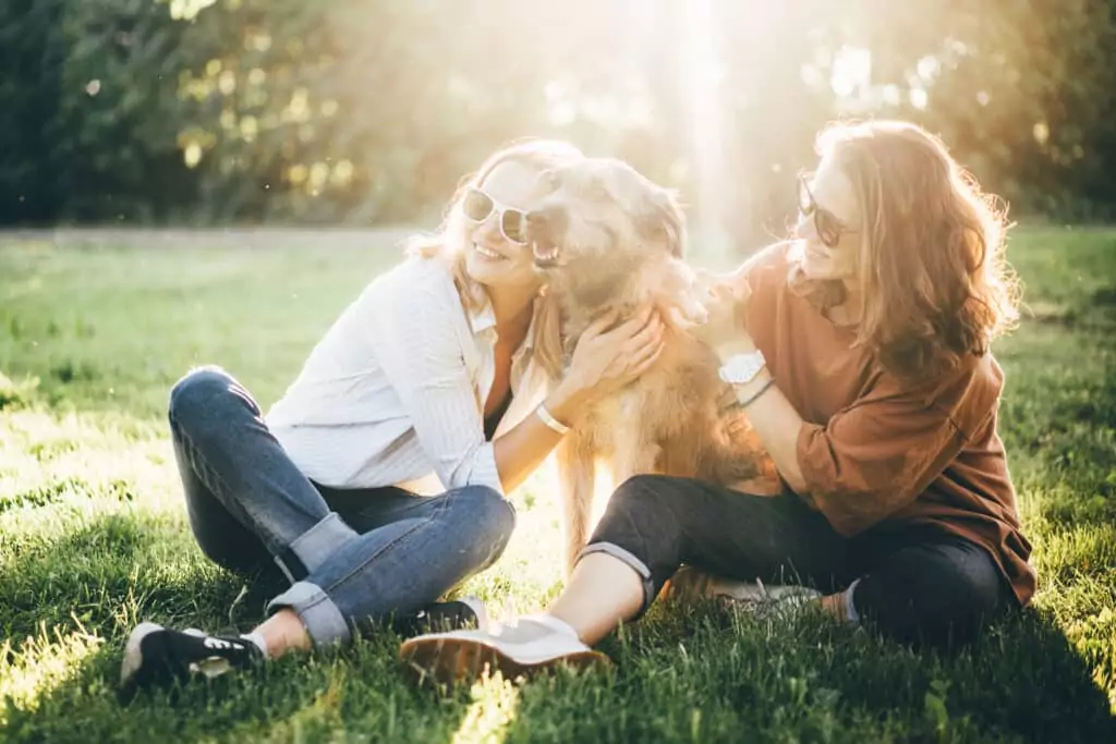 two girls dog sitting park sunset enjoying time together after getting approved for medical marijuana cards in minutes