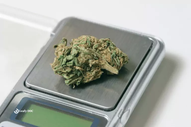A Comprehensive Guide to Cannabis Measurements