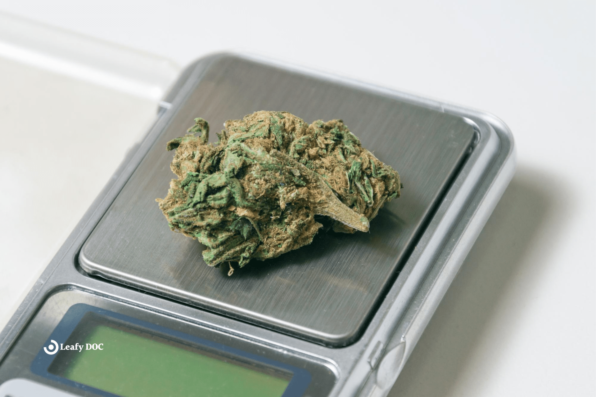 A Comprehensive Guide To Cannabis Measurements Leafy DOC