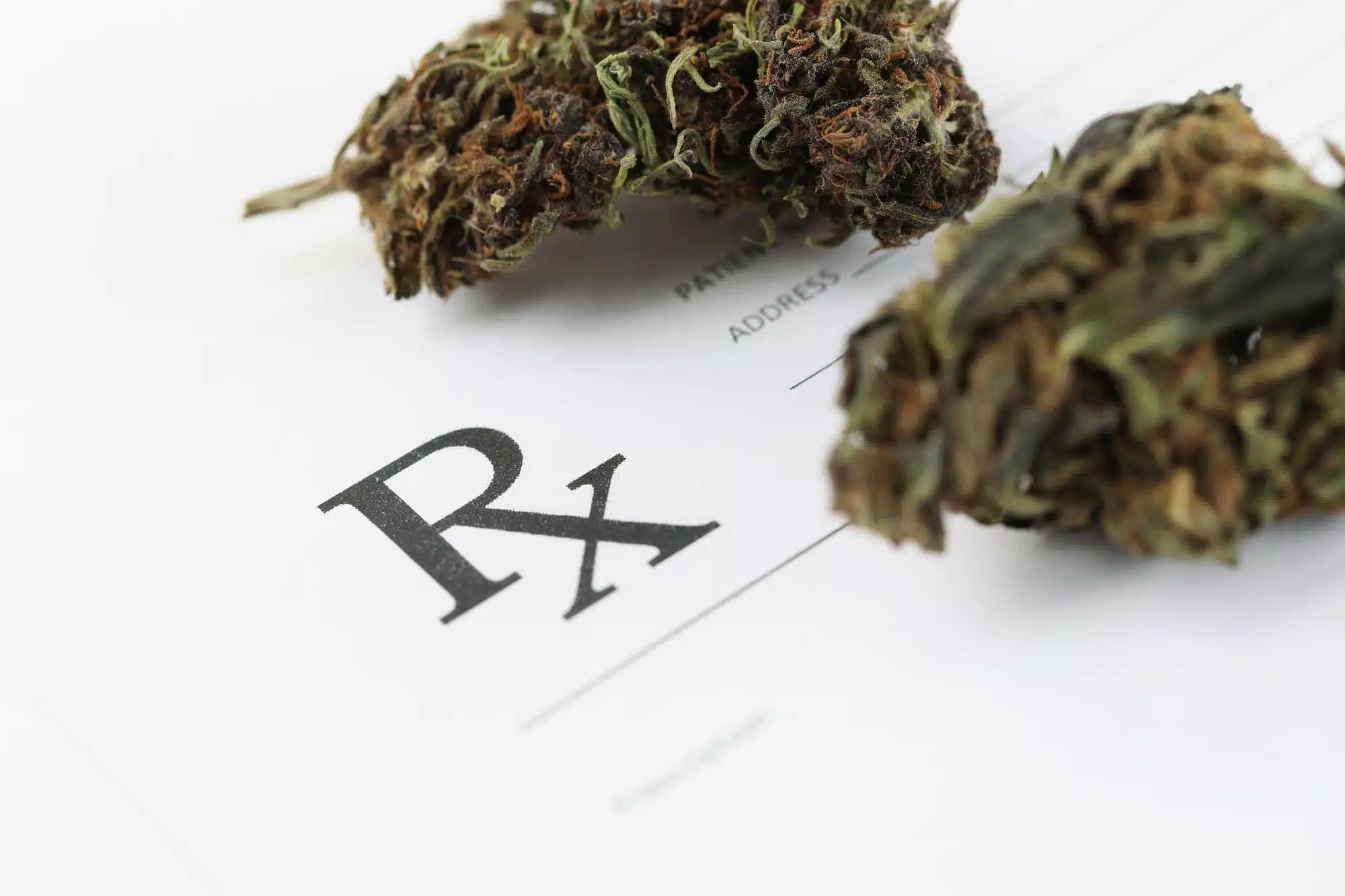 cannabis flower on a prescription pad