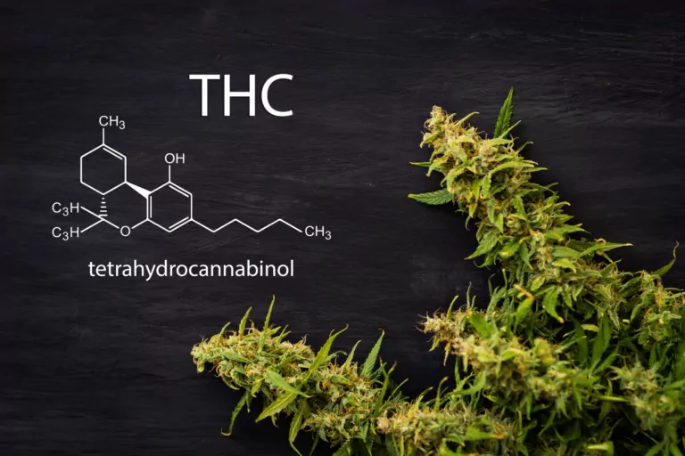 What is THC – How it Works and Potential Benefits